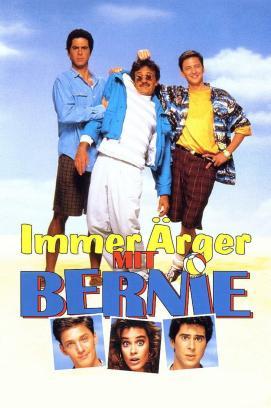 Immer Ärger mit Bernie stream