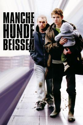 Manche Hunde beißen stream