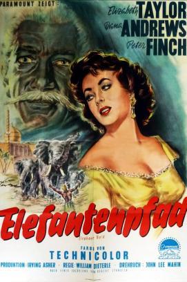 Elefantenpfad stream