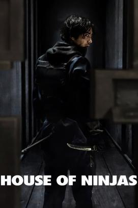 House of Ninjas - Staffel 1 stream