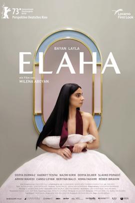Elaha stream