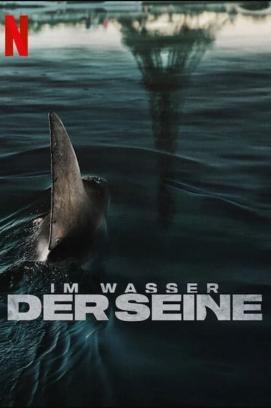 Im Wasser der Seine stream