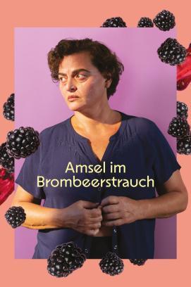 Amsel im Brombeerstrauch stream