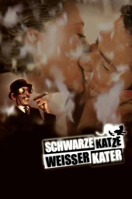 Schwarze Katze, weißer Kater stream