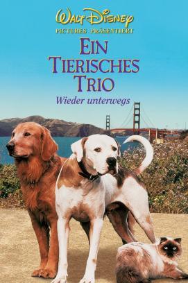 Ein tierisches Trio - Wieder unterwegs stream