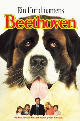 Ein Hund namens Beethoven stream