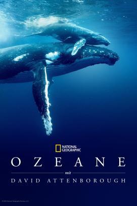 Ozean mit David Attenborough stream