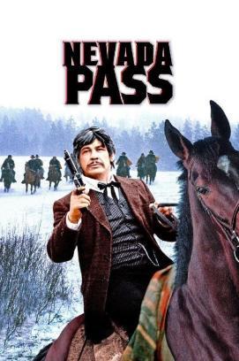 Nevada Pass stream