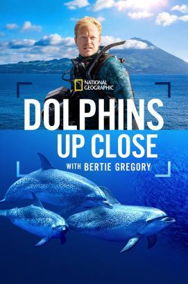 Delfine Hautnah mit Bertie Gregory stream