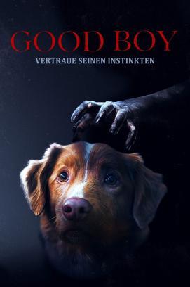 Good Boy - Trust His Instincts stream