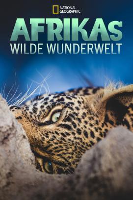 Afrikas wilde Wunderwelt - Staffel 1 stream