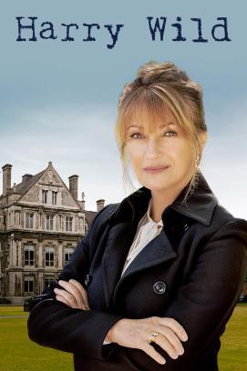 Harry Wild - Mörderjagd in Dublin - Staffel 1 stream