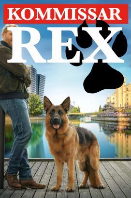 Kommissar Rex - Staffel 1 stream