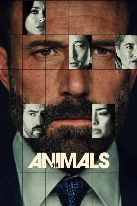 Animals stream